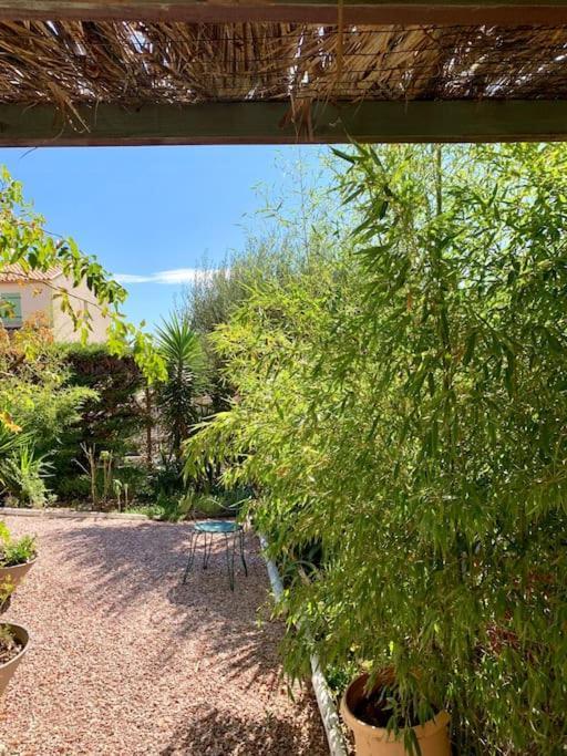 Charmante Villa Avec Une Ame. Pignan Exterior photo